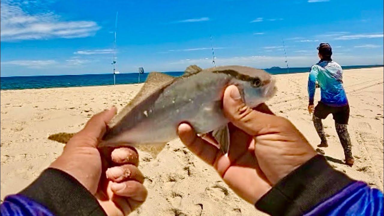 PESCARIA DE PRAIA! DICAS pra você NUNCA mais voltar pra casa SEM PEIXE.