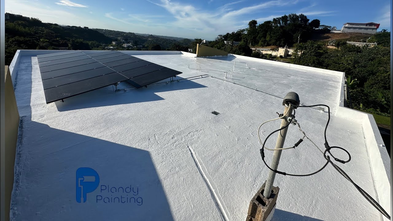 Reducción desagües, nivelación, aplicación primer y sellado 100% silicon Plandy Painting LLC