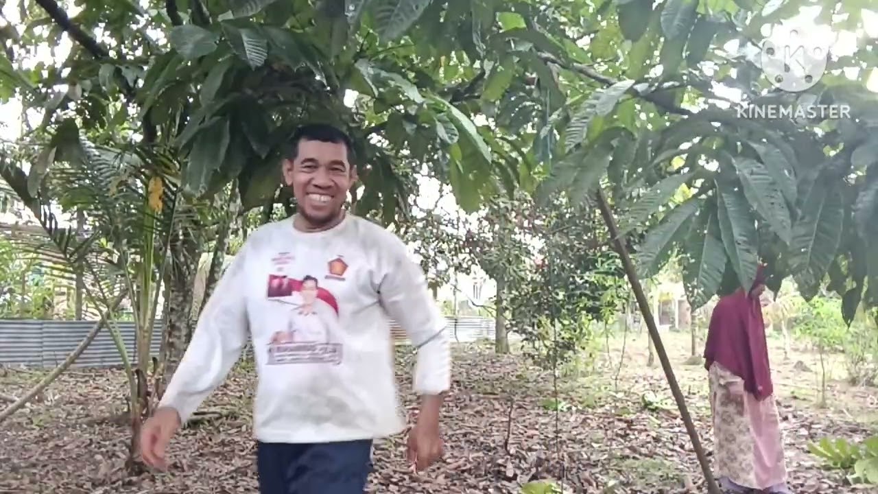 Keseruan panen Matoa dengan Bapak mertua.