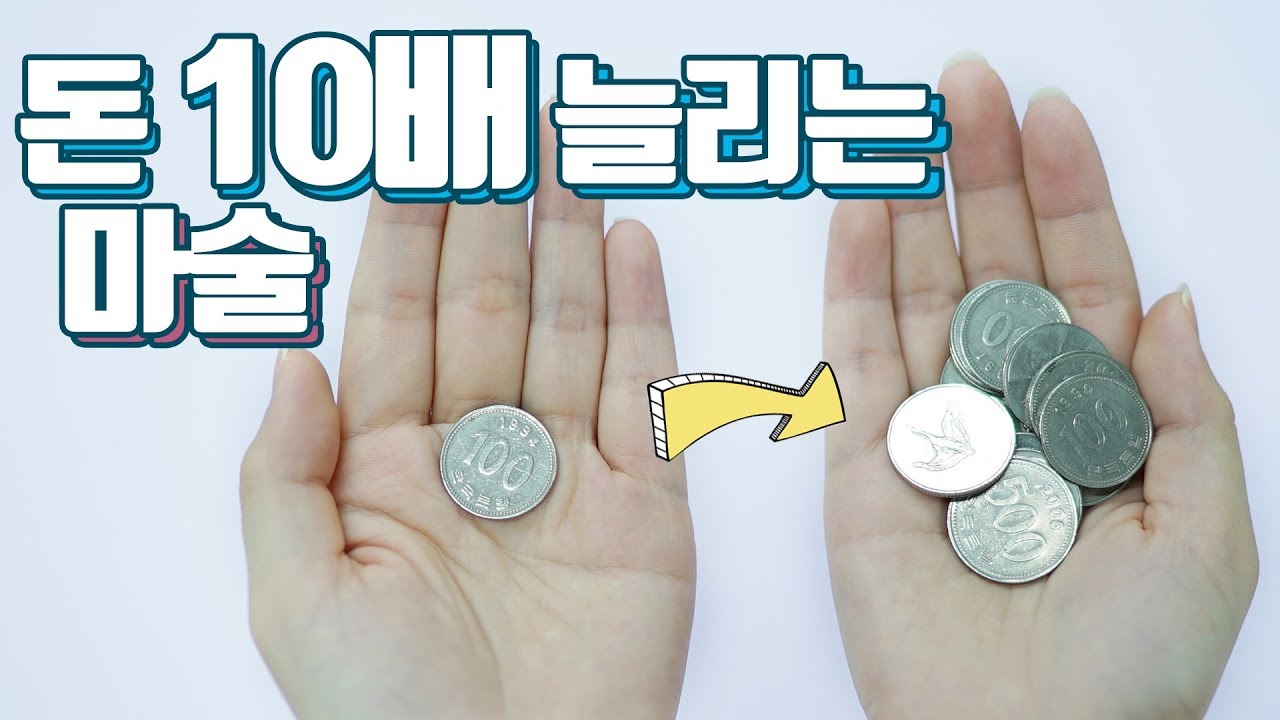 돈을 10배 불리는 방법! 어디서나 하기 좋은 동전 마술배우기!(feat.창조경제) - 니키