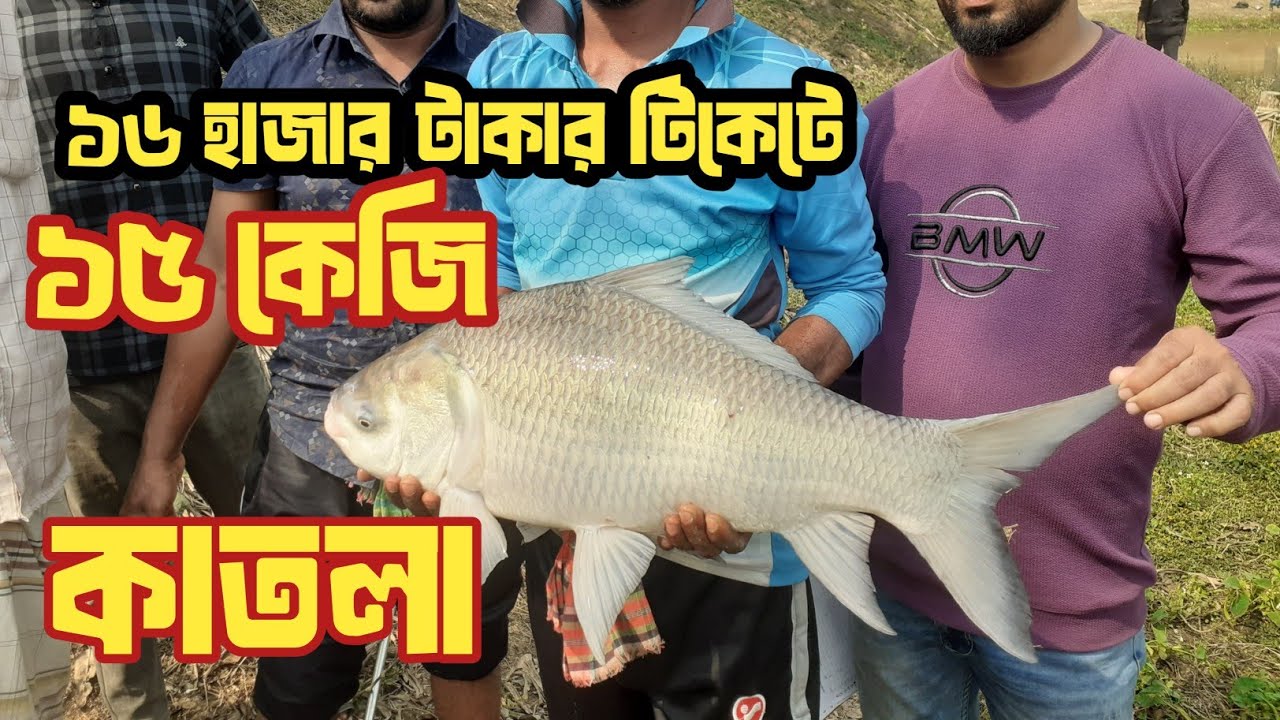 ১৬ হাজার টাকা টিকেটে এক বিশাল  আকর্ষণীয় কাতল মাছ ধরা পড়লো #fishing #fishingvideo #hookfishing #ad