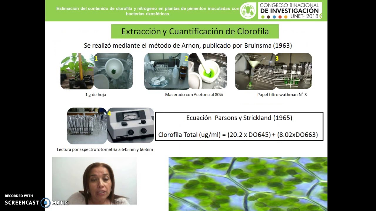 R172 Estimación del contenido de clorofila y nitrógeno en planta