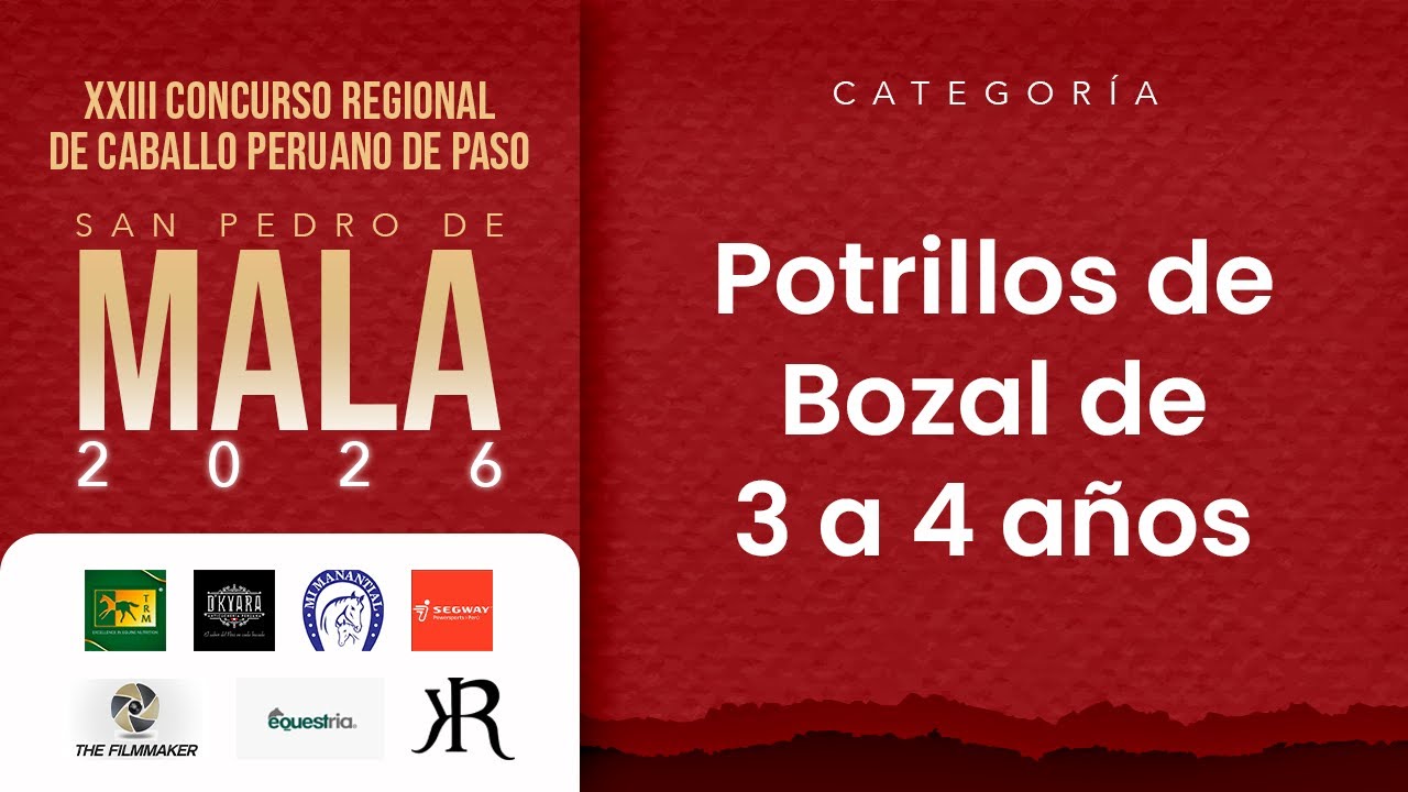 Potrillos de Bozal de 3 a 4 Años del XXIII Concurso Regional Mala 2026