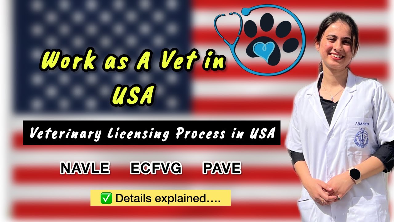 Veterinary Licensing Process for USA 🇺🇸|Work as a vet in USA🐾🩺ECFVG| PAVE| NAVLE|All Details#usa#vet
