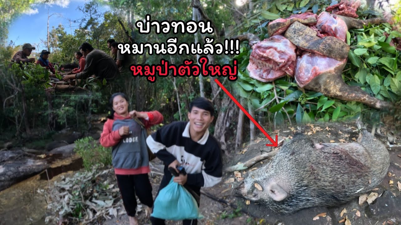 นายพรานใหญ่+บ่าวทอนหมานแล้ว/ນາຍພານໃຫຍ່ກັບບ່າວທອນຫມານແລ້ວ
