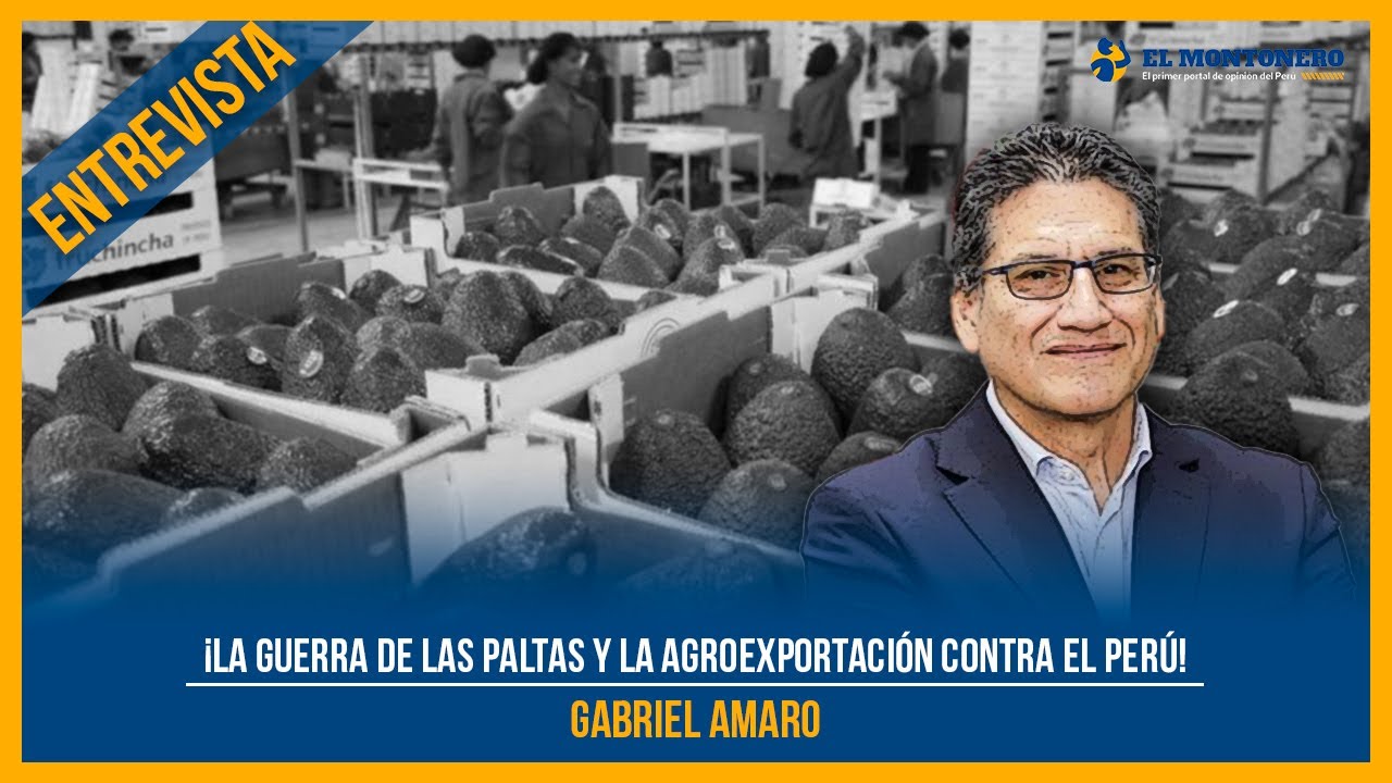 ¡La guerra de las paltas y la agroexportación contra el Perú!