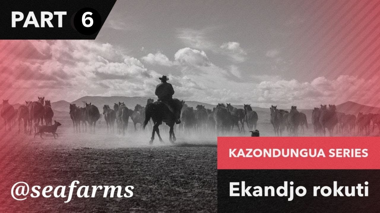 Kazondungua Kaputu PART 6