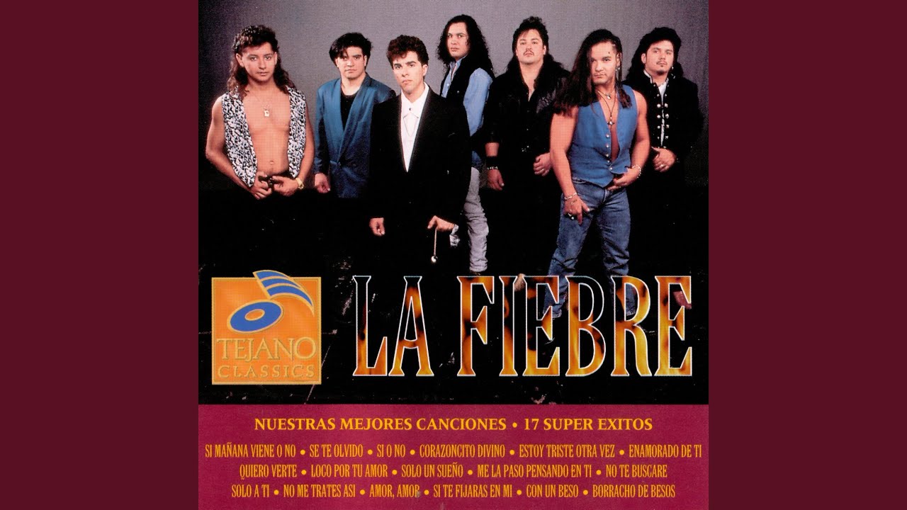 Si Te Fijaras En Mi