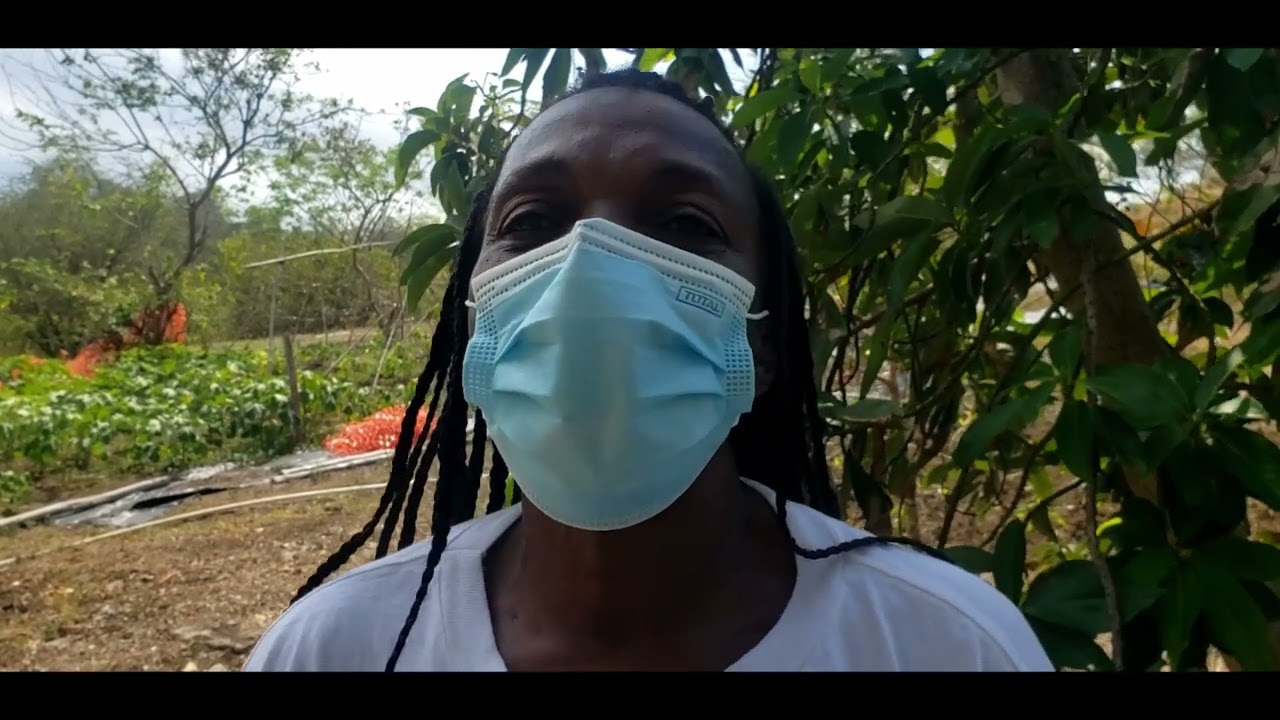 The Story Of A Jamaican RETURNING RESIDENT | Ms. Hamilton Shares Her 'Secrets' & Goals Living In JA