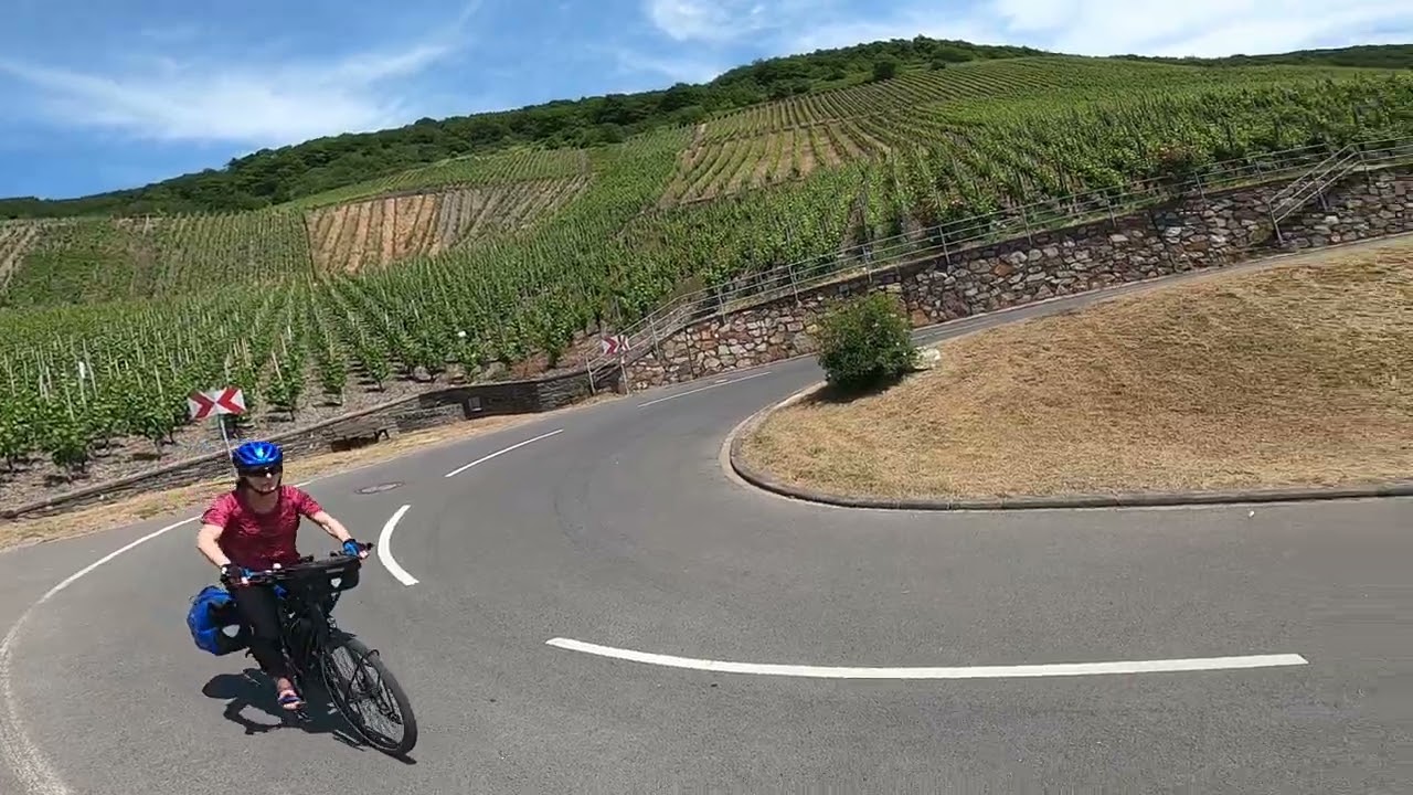 Moezel -Mosel regio Bernkastel Kues - Piesport