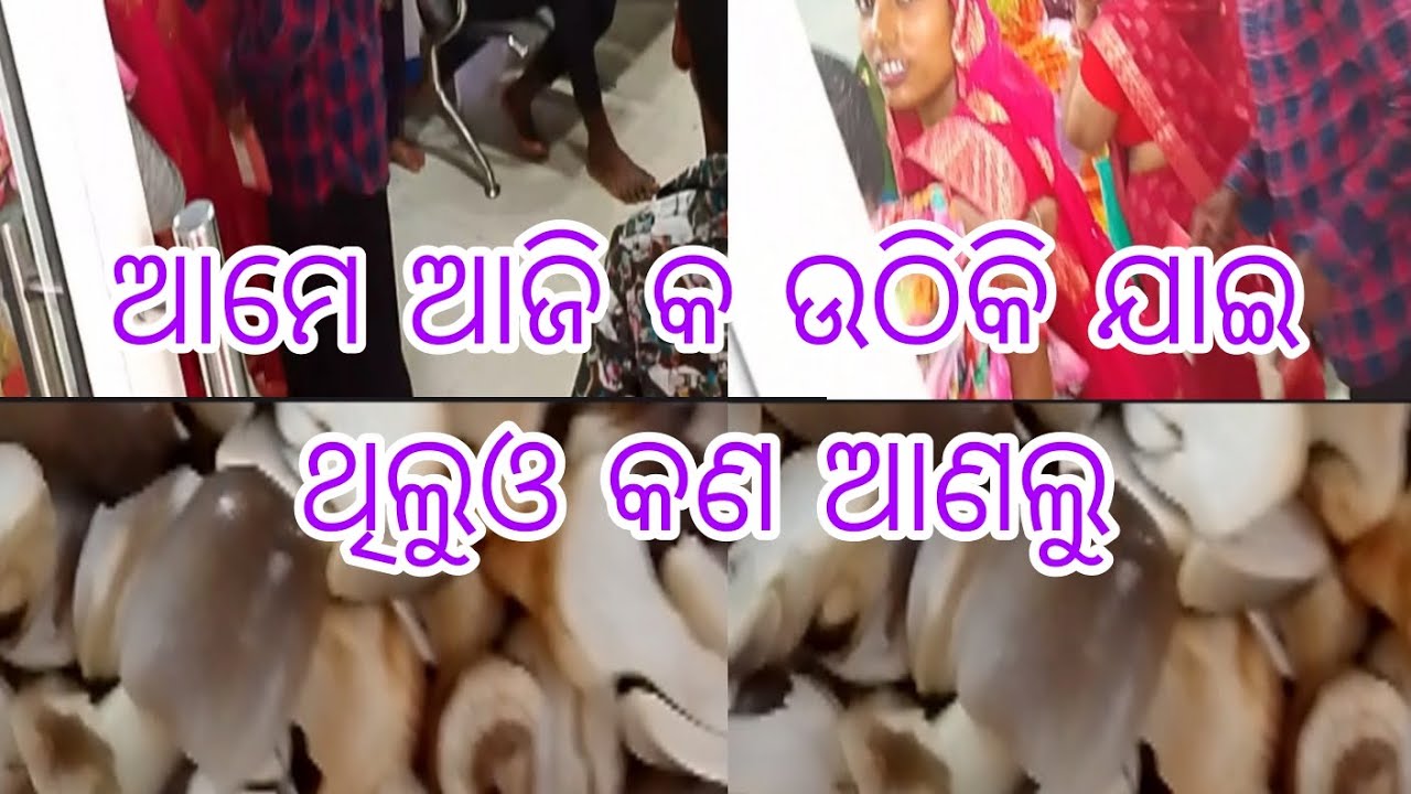 ଆମେ ଆଜି କ ଉଠିକି ଯାଇ ଥିଲୁଓ କଣ ଆଣଲୁ#odia#blogger #viralvideo youtube