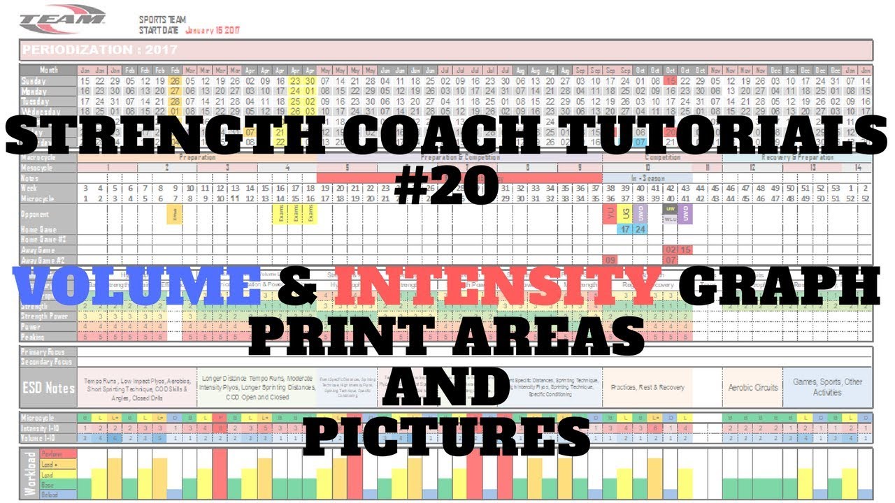 Annual Plan #6 - Logos, Print Area, & Volume Intensity Area Graph. SCT # 20 | DSMStrength