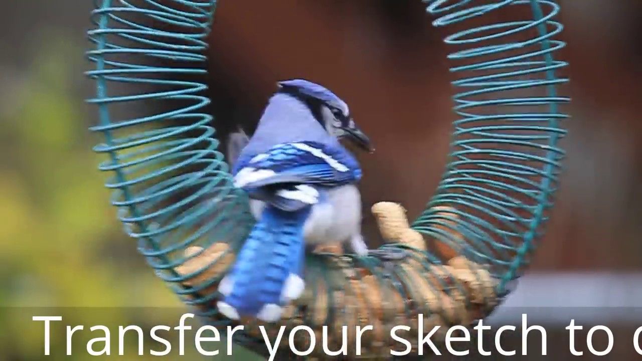 How to TRANSFER your SKETCH to canvas for painting, Acrylic Painting tutorials for beginners