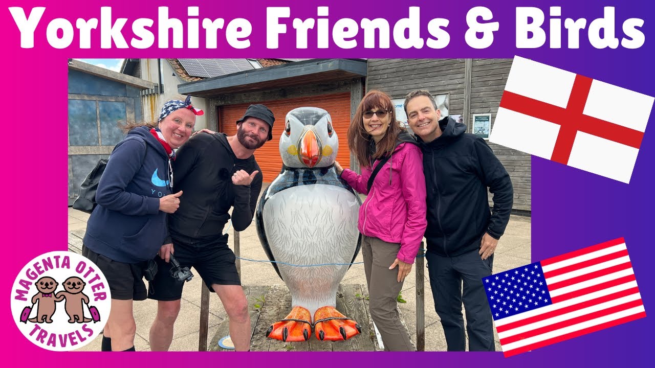 Yorkshire Friends & Birdwatching - Flamborough & Bempton Cliffs - Americans visit England