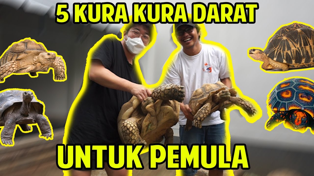 5 KURA DARAT UNTUK PEMULA !! BUDGET PELAJAR CUY !! @AchmadIqbalFA