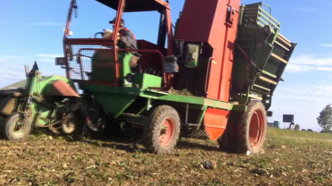 Campagna barbabietole 2015 °Guaresi°