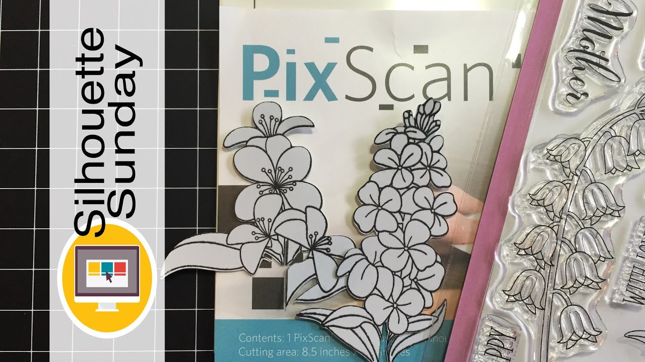 PixScan for Stamp Masks | Silhouette Sunday