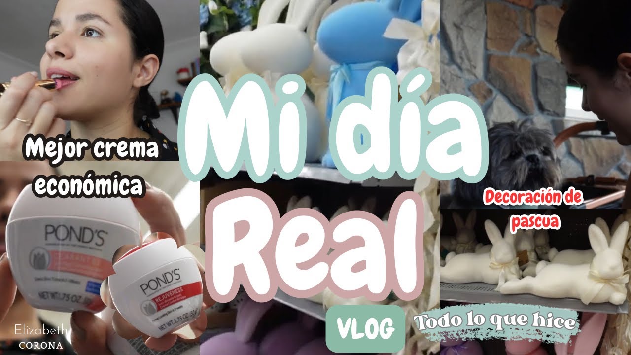 Vlog real: Olive Garden, Walmart y caminata con Blue 🤍 | Día conmigo sin filtros✨| Elizabeth Corona 