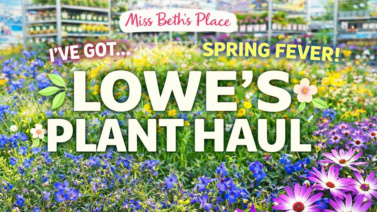 Покупки растений в Lowe’s 🌿 | Весеннее настроение — это реальность!