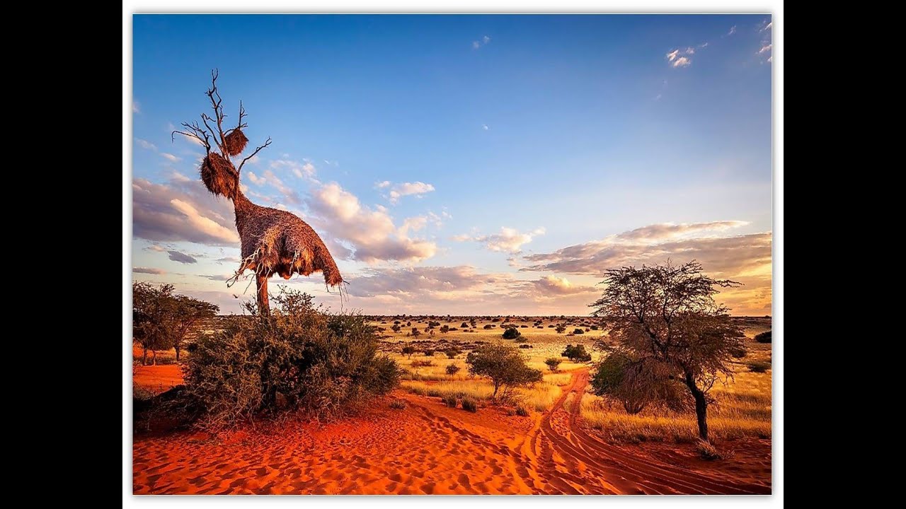 North Arrow Voiceover Presentation on the Kraaipan Gold Project, Botswana