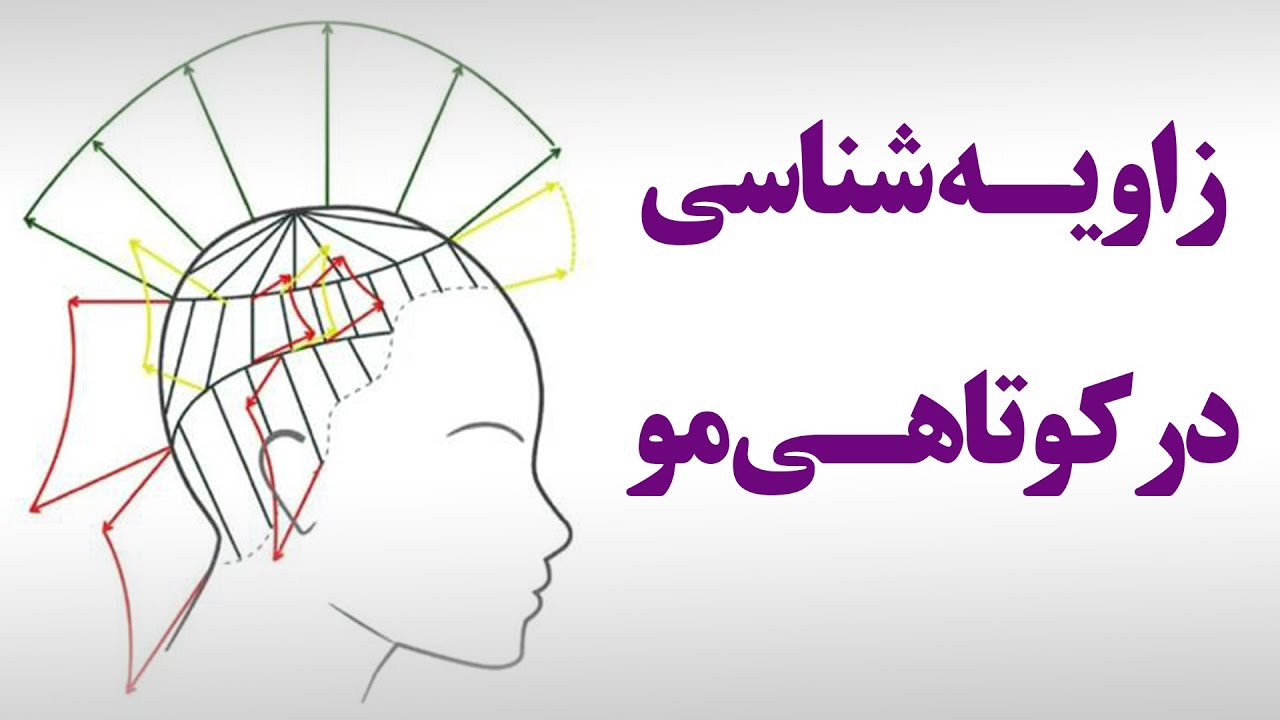 زاویه شناسی در کوتاهی مو| سان سالن