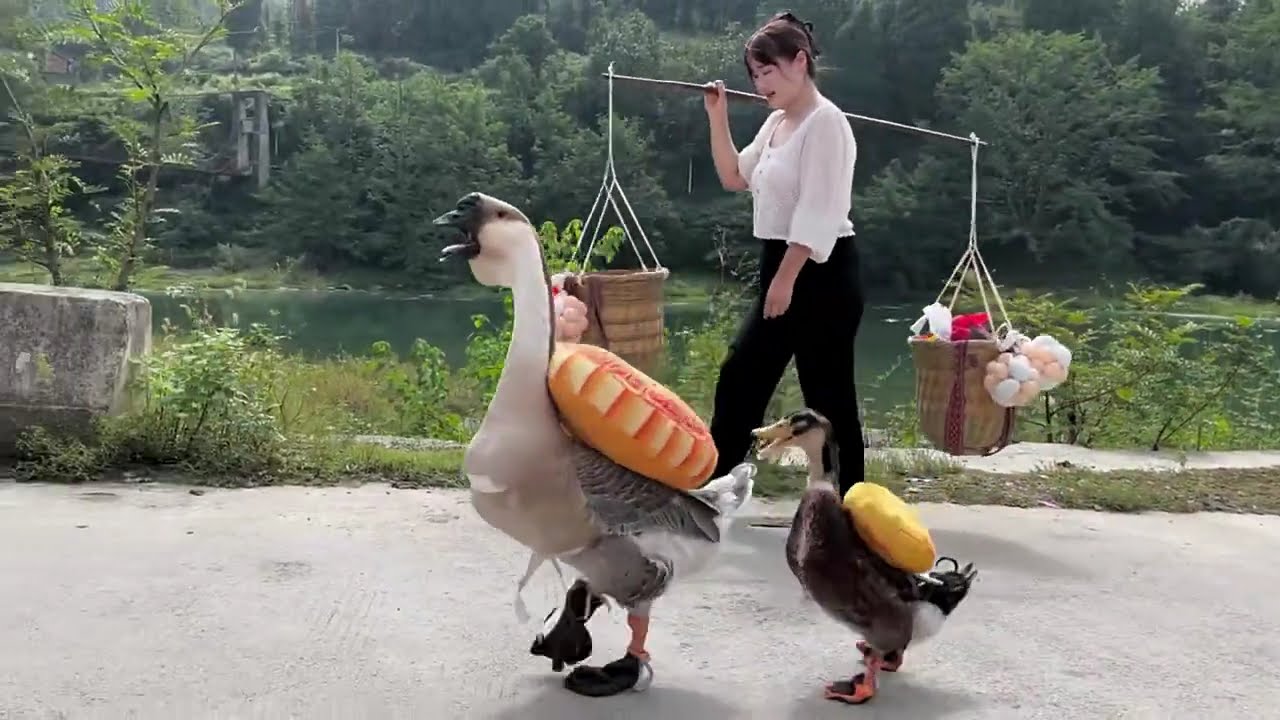 утка 🦆 взлетела, действительно взлетела, 🤣🤣 и чуть не улетела в реку