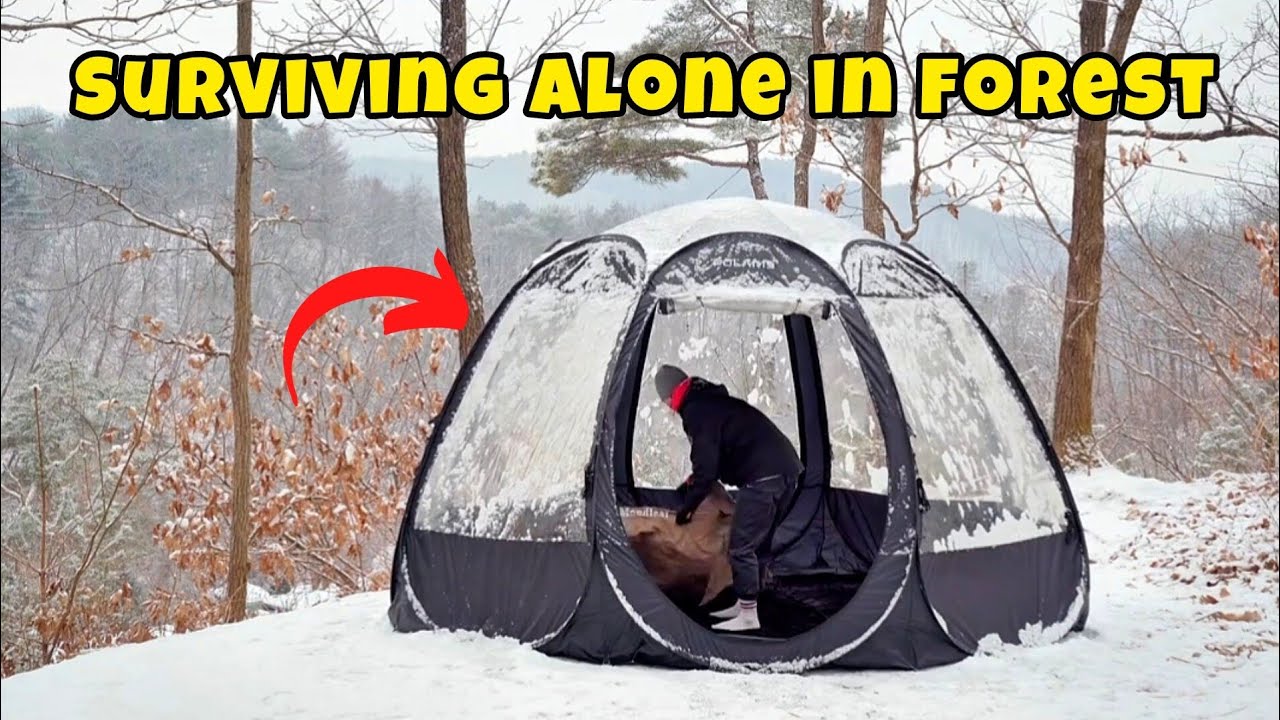 Surviving Alone in Snow Ice|🥶|1 Night survive|Home Builder|