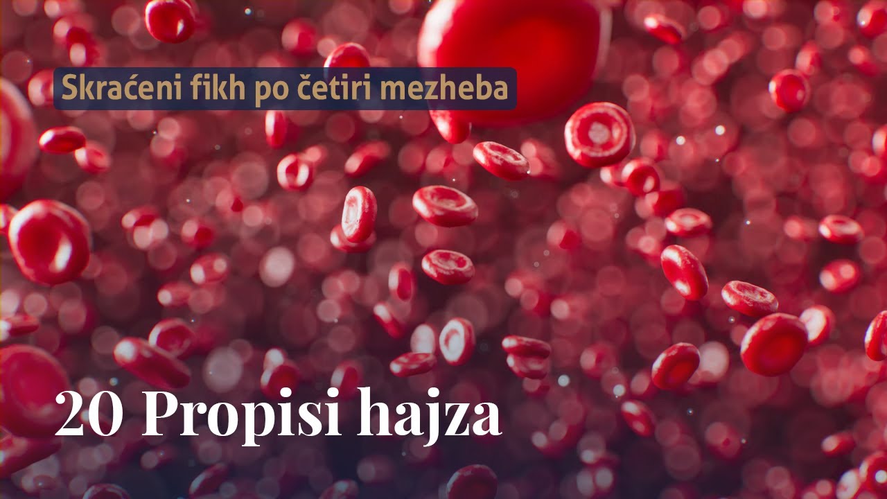Propisi hajza - dr. Zijad Ljakić