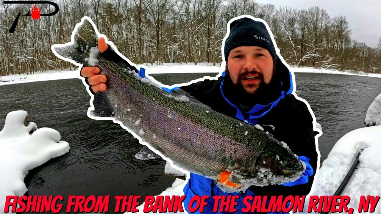 Steelhead Fishing New York's Salmon River (From The Bank)
