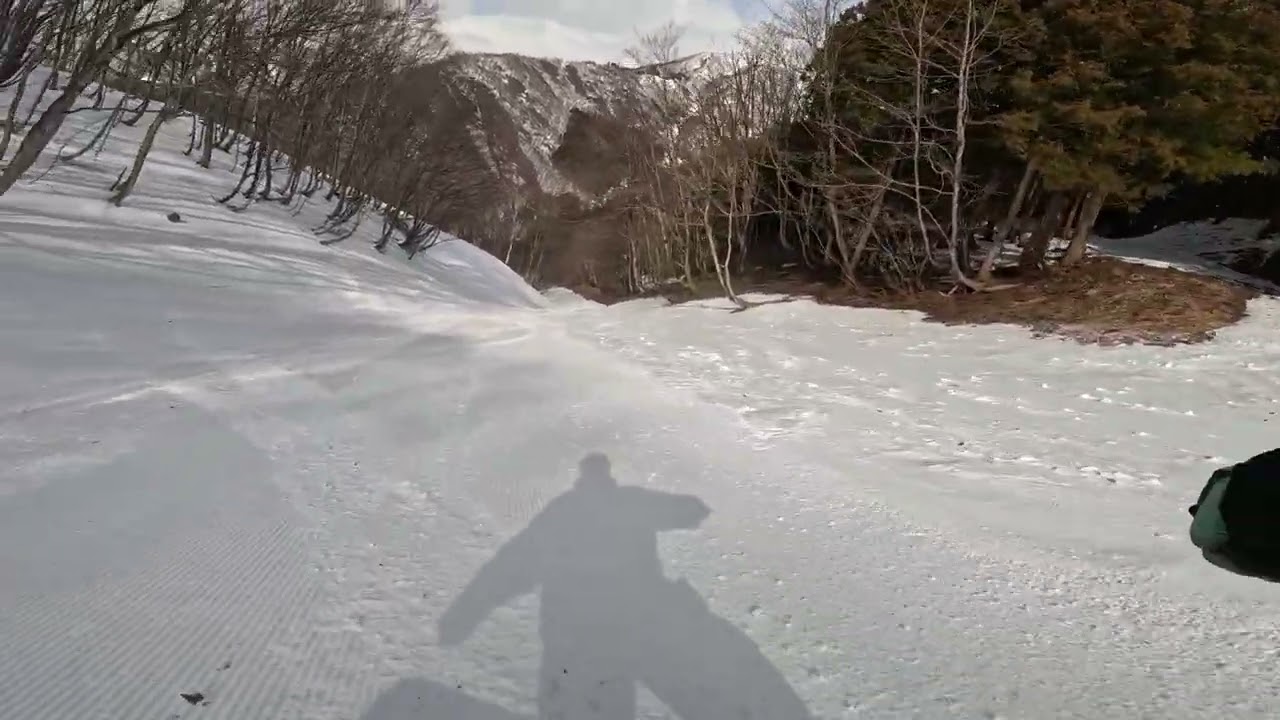 20260313ホワイトバレーみなかみ ホワイトヘブンコース圧雪右側⇒フォレストコース⇒ファンタジーコース