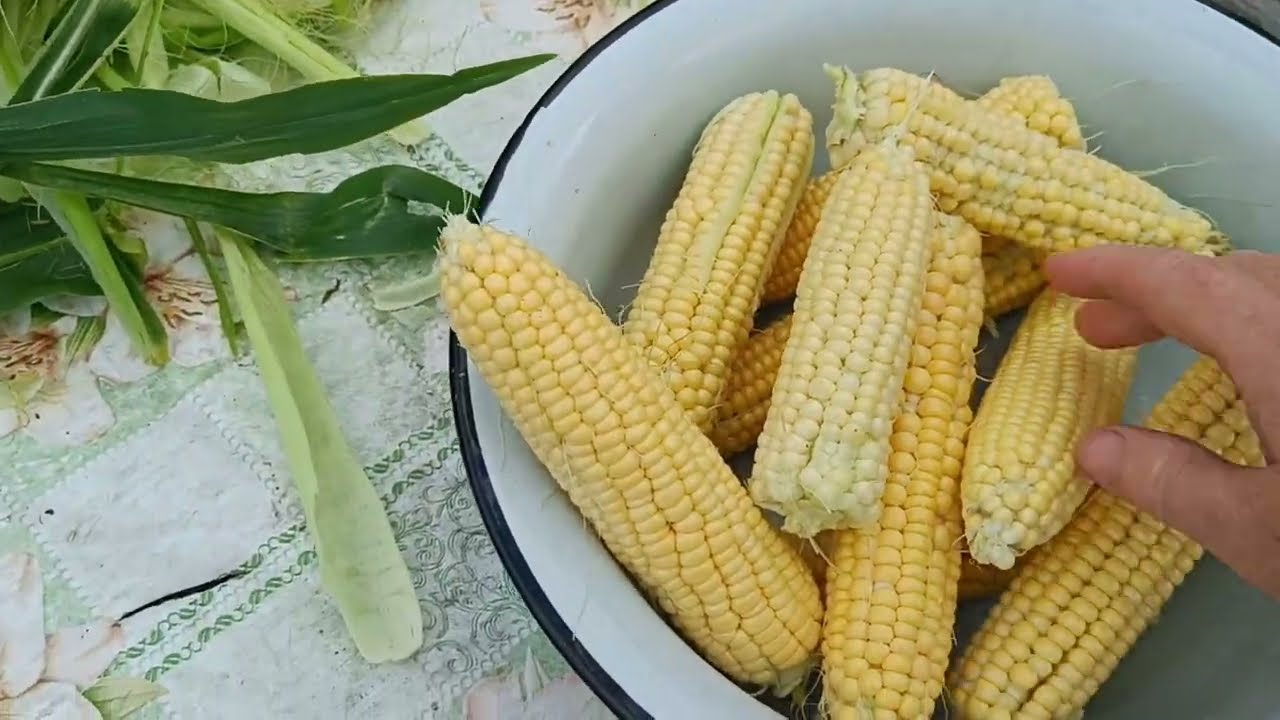 Фарширую перцы/Новый тюль в кухню/Наломала початок 🌽/Жизнь на пенсии в ДЕРЕВНЕ 🤗