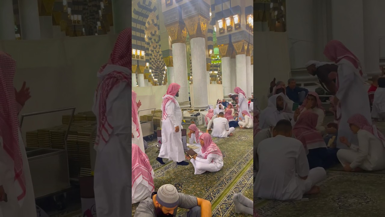 Imagine this being your local Masjid💚🤩 #deen #reminder #hifz #qubaacademy #qaidah #quran