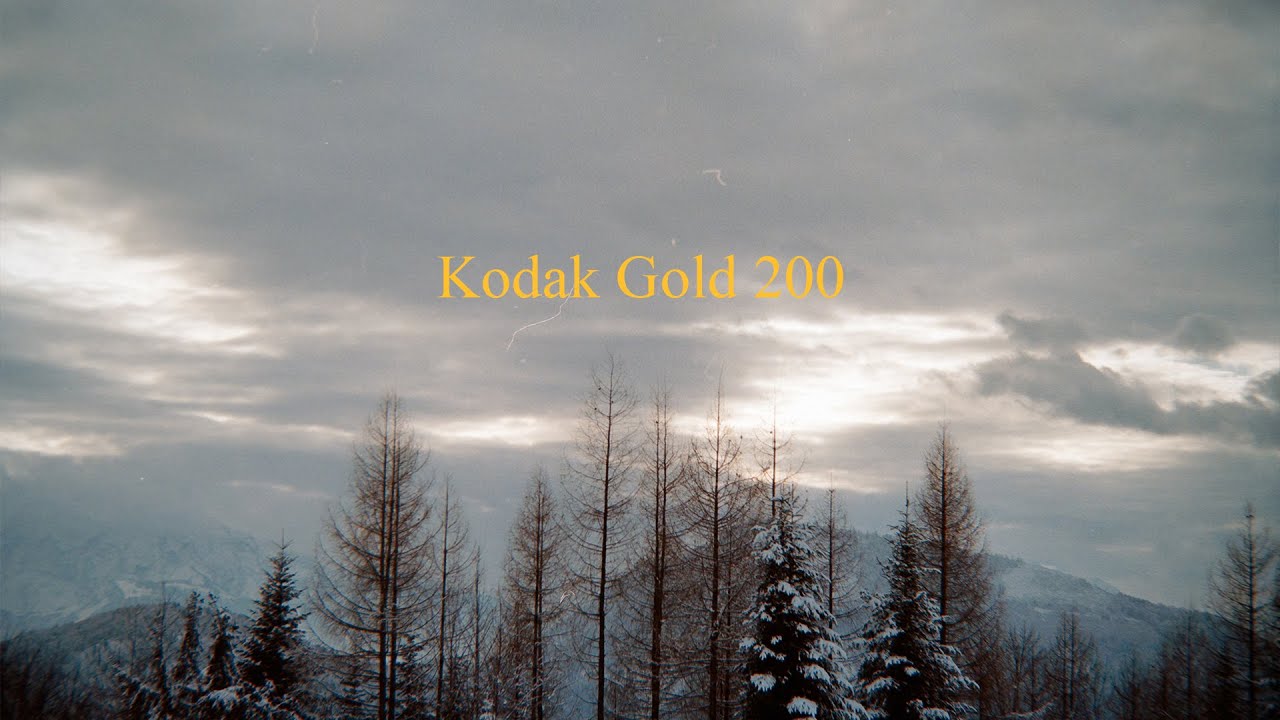 Winter Film Photography on Kodak Gold 200