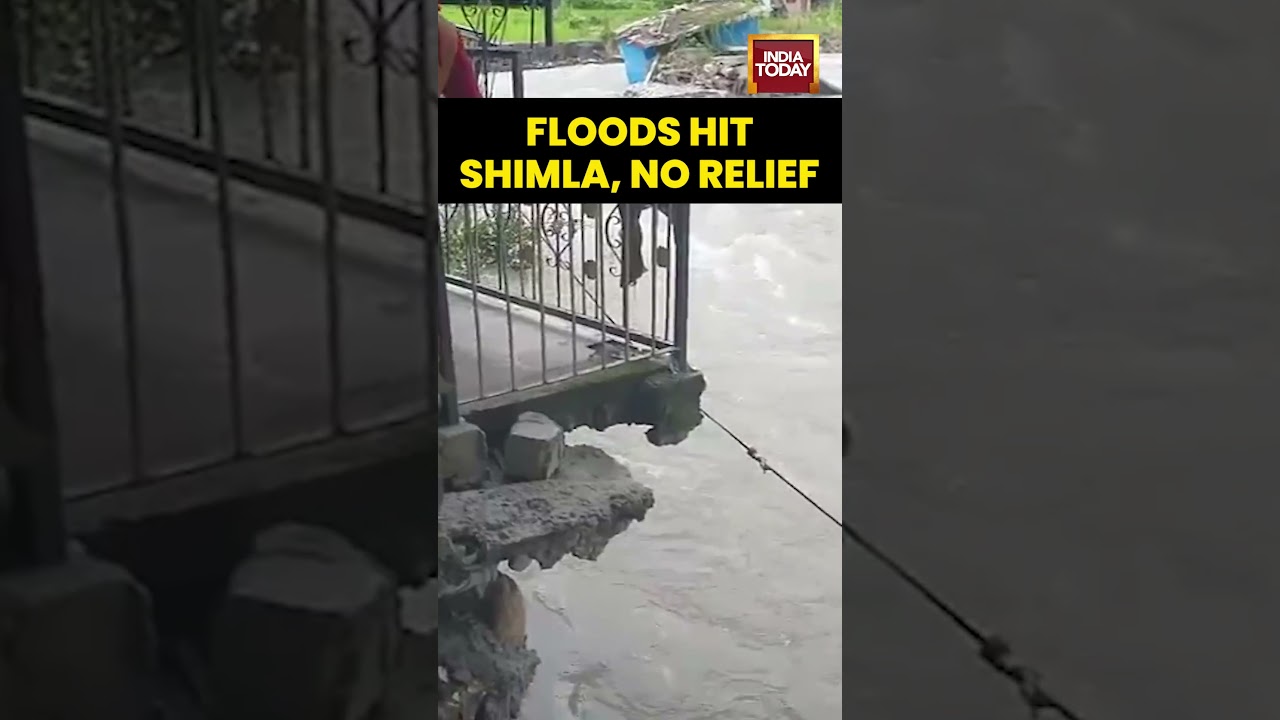 Flash Floods Ravage Shimla's Rampur Bushahr | One Week On, Still No Relief  for Victims #flood