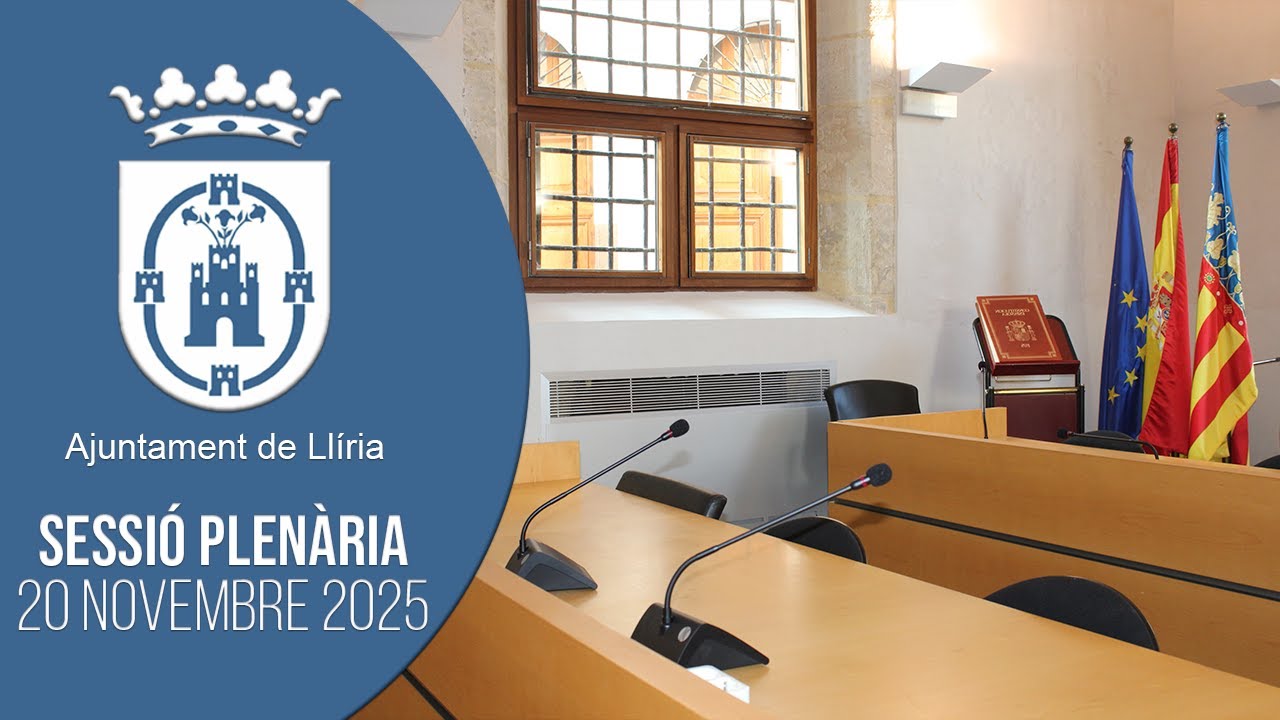 Sessió  Plenària 20 de novembre de 2025
