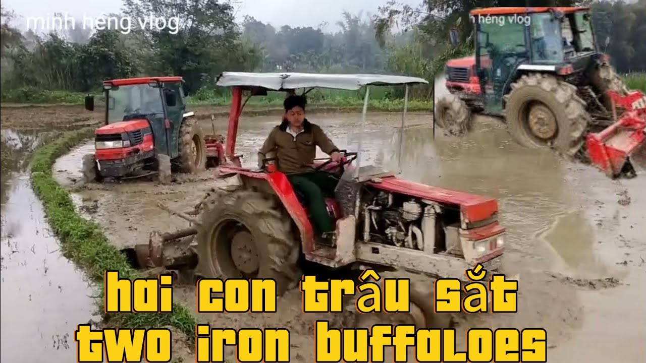 Hai con trâu sắt đọ sức mạnh -minh vlog - đăng ký kênh ủng hộ mình nhé.