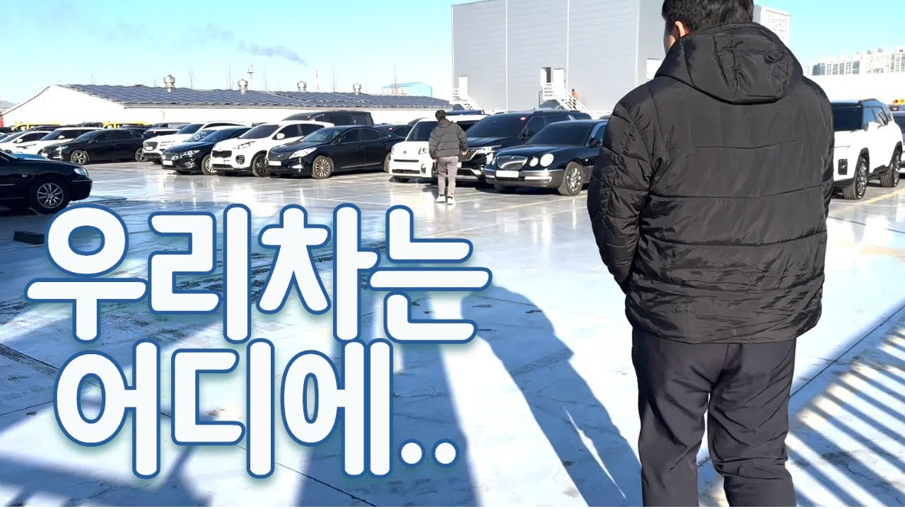 우리차를 찾아서🚙 겨울방학일상, 좋은 차를 고르는 방법