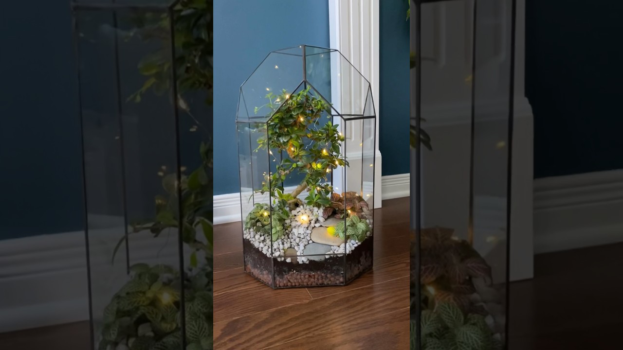 Geometric glass terrarium. Soldering process #soldering #stainedglass
