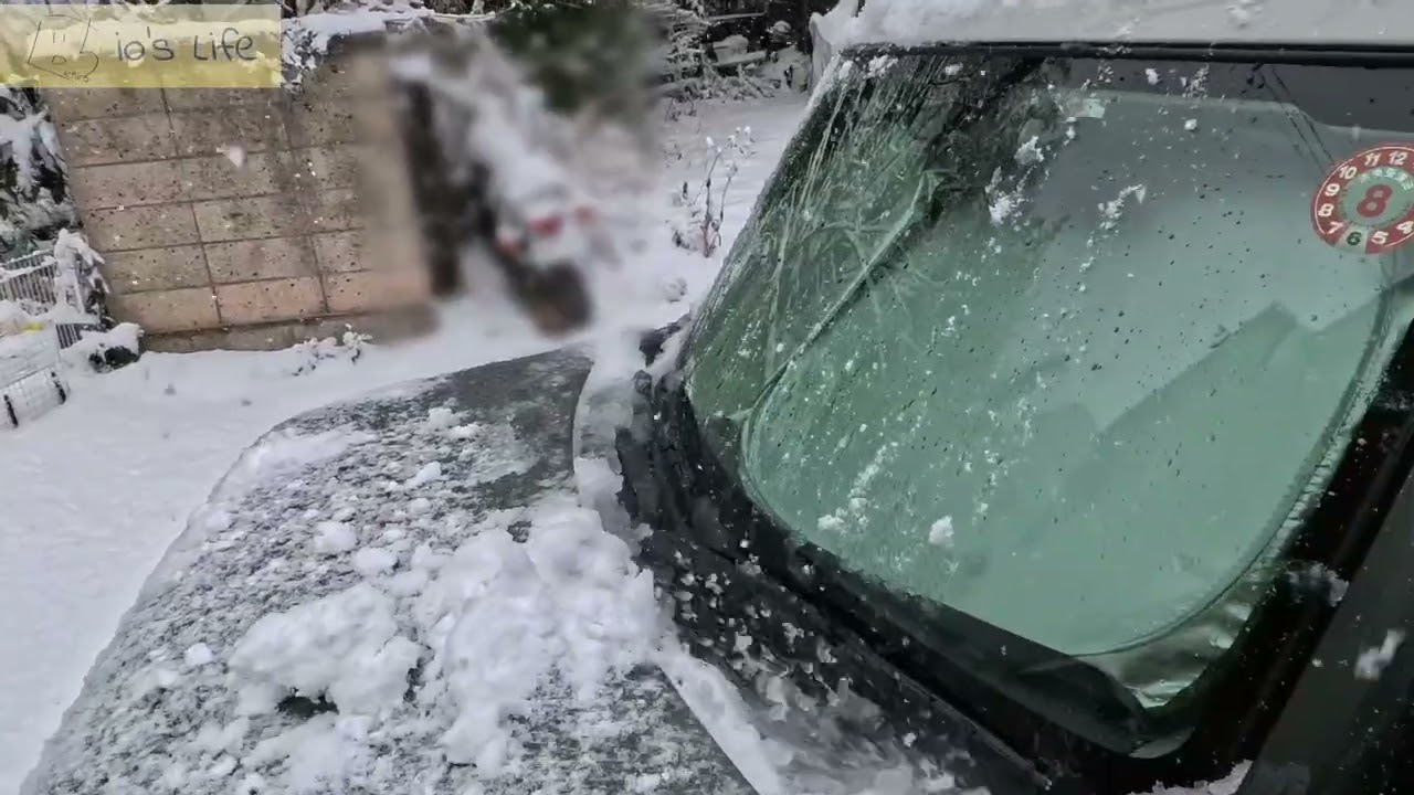 湯河原散歩Vlog豪雪20260208