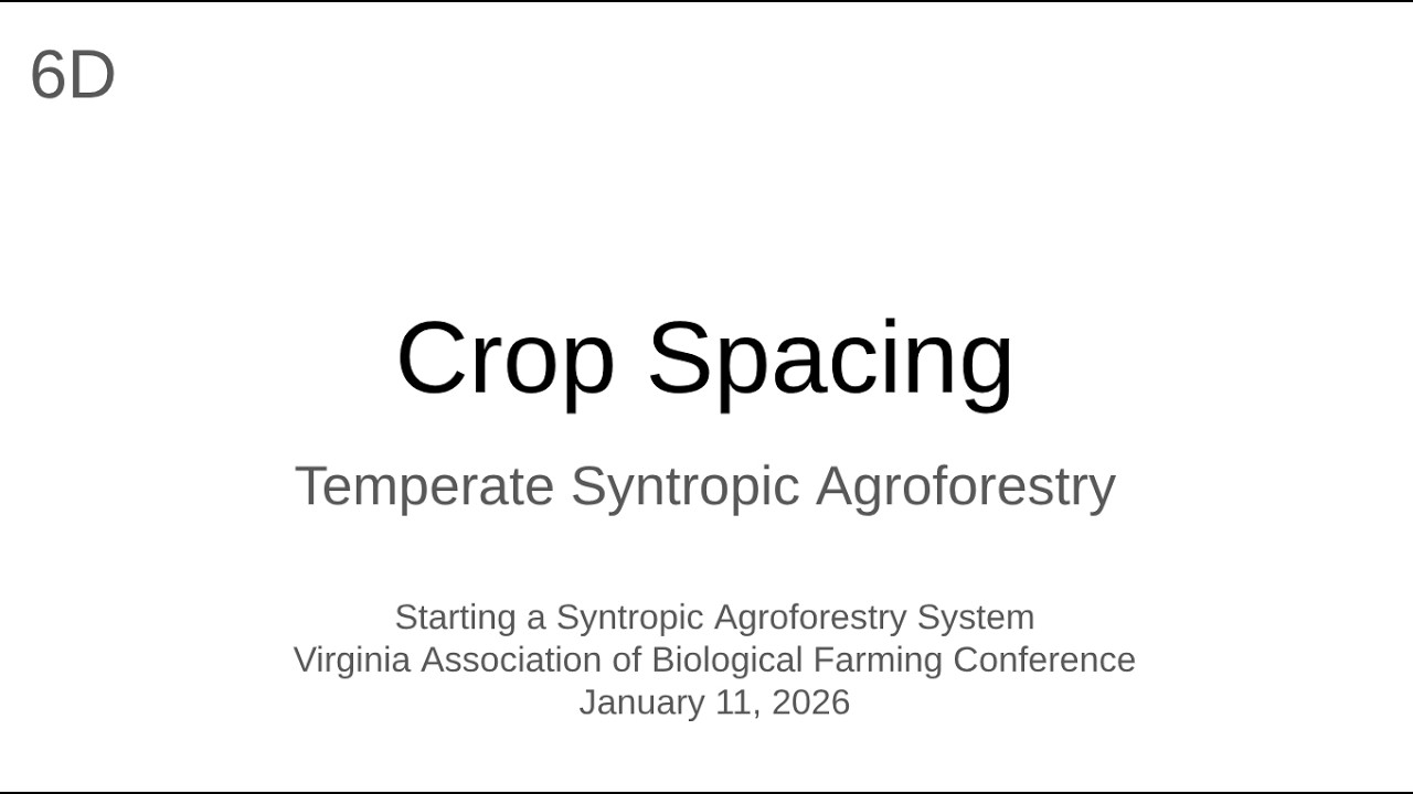 6D Crop Spacing - Temperate Syntropic Agroforestry