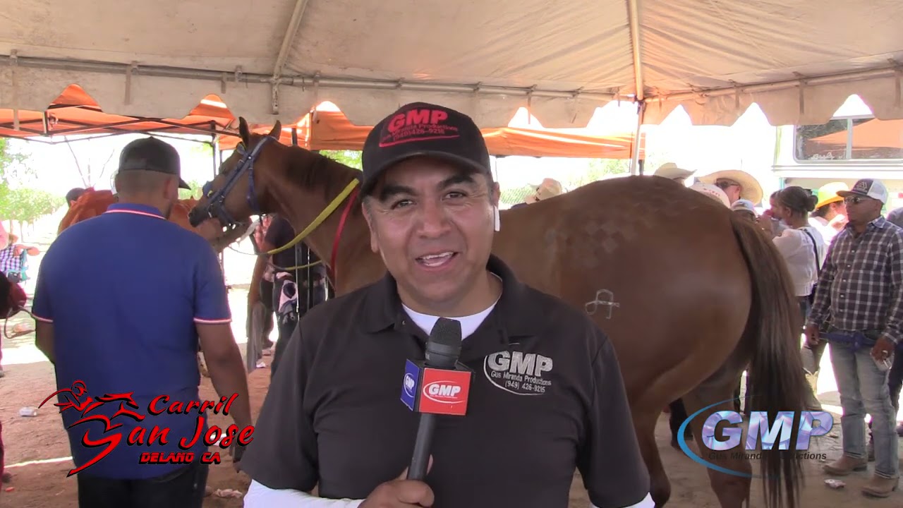 EL NUEVO PANAMA WES VS EL TEJON