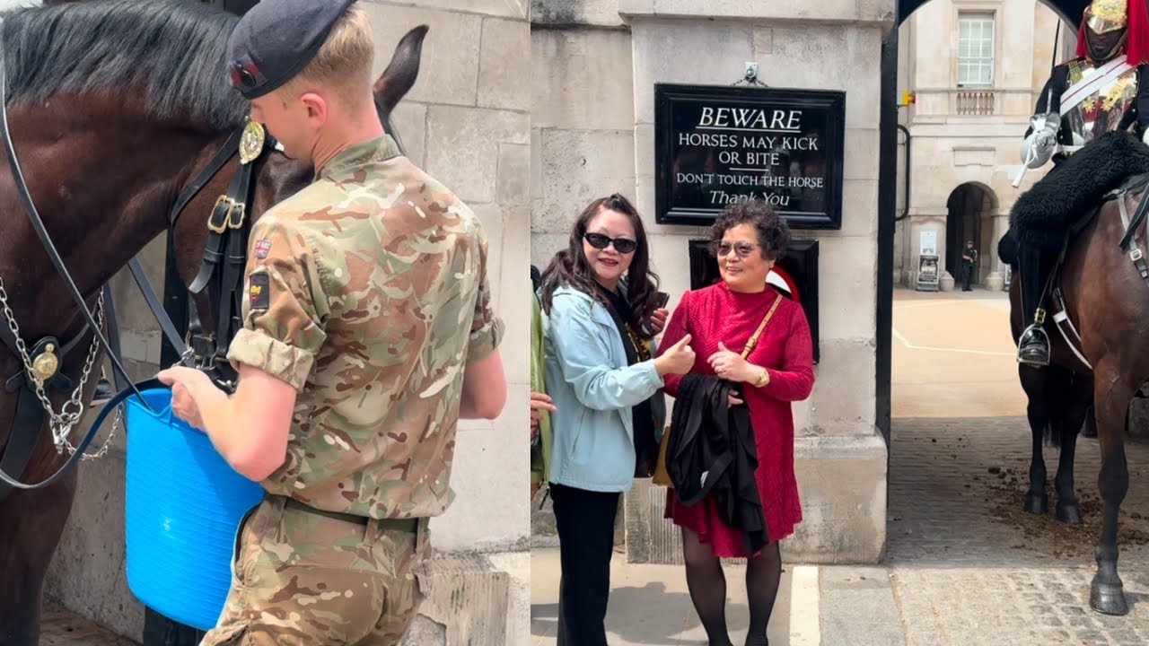 Soldier brings water for the Horse. Tourists disturbing, Guard Shouts Get Back.