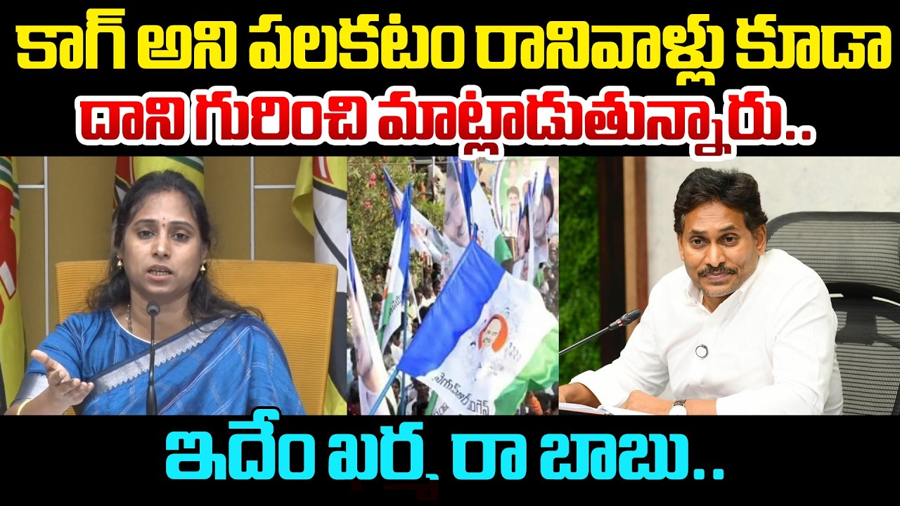 MLA Galla Madhavi Serious On YS Jagan : కాగ్ అని పలకటం రానివాళ్లు కూడా దాని గురించి మాట్లాడుతున్నారు