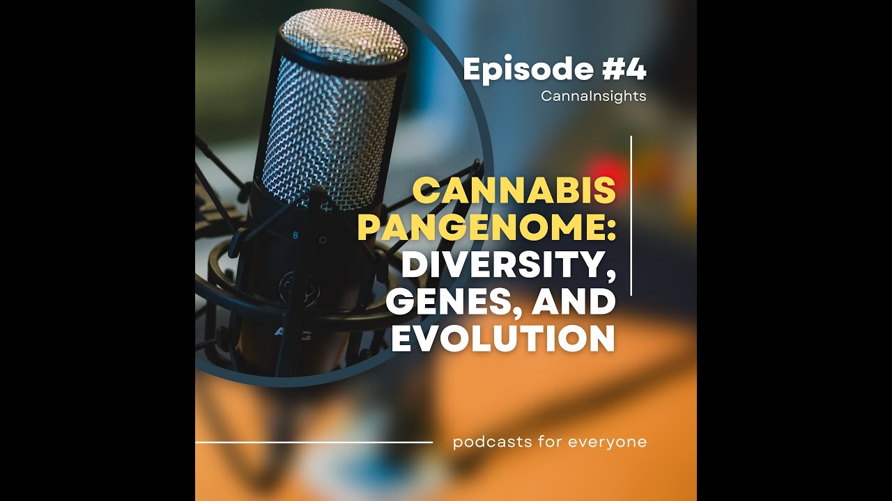 Cannabis Pangenome: Diversity, Genes, and Evolution
