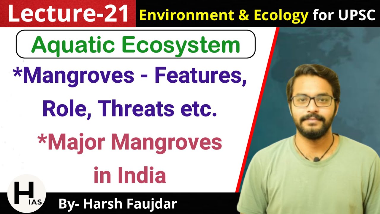 E21: Mangroves - Features, Role, Threats, Major Mangroves in India | Environment for UPSC