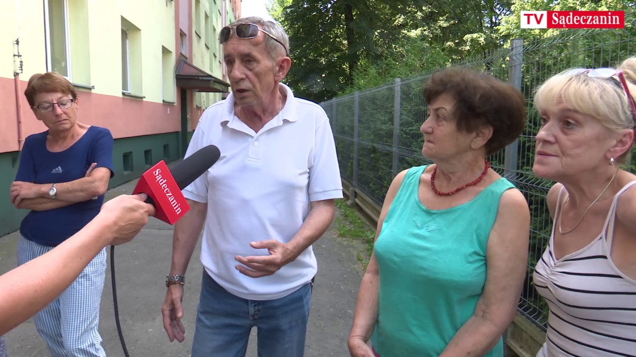 Na Zamenhofa 8 lokatorzy hodują 22 psy w 37-metrowym mieszkaniu