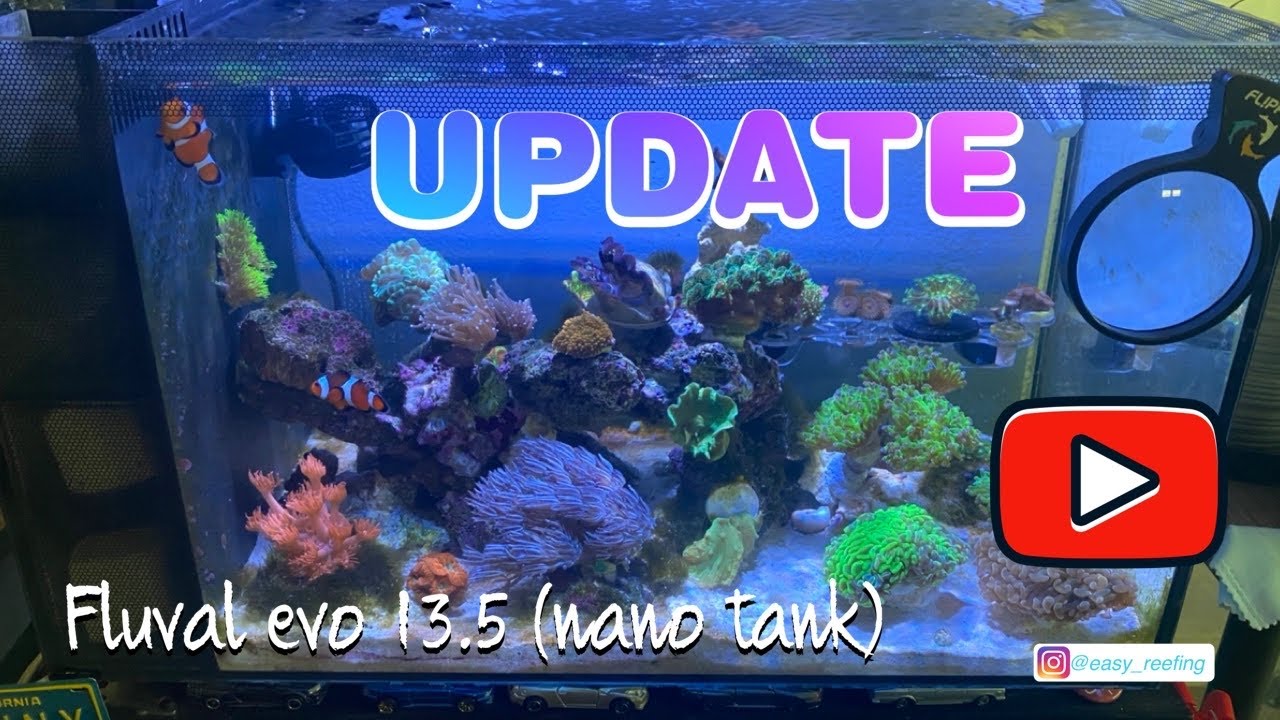 Update on my fluval evo 13.5 (nano reef tank)