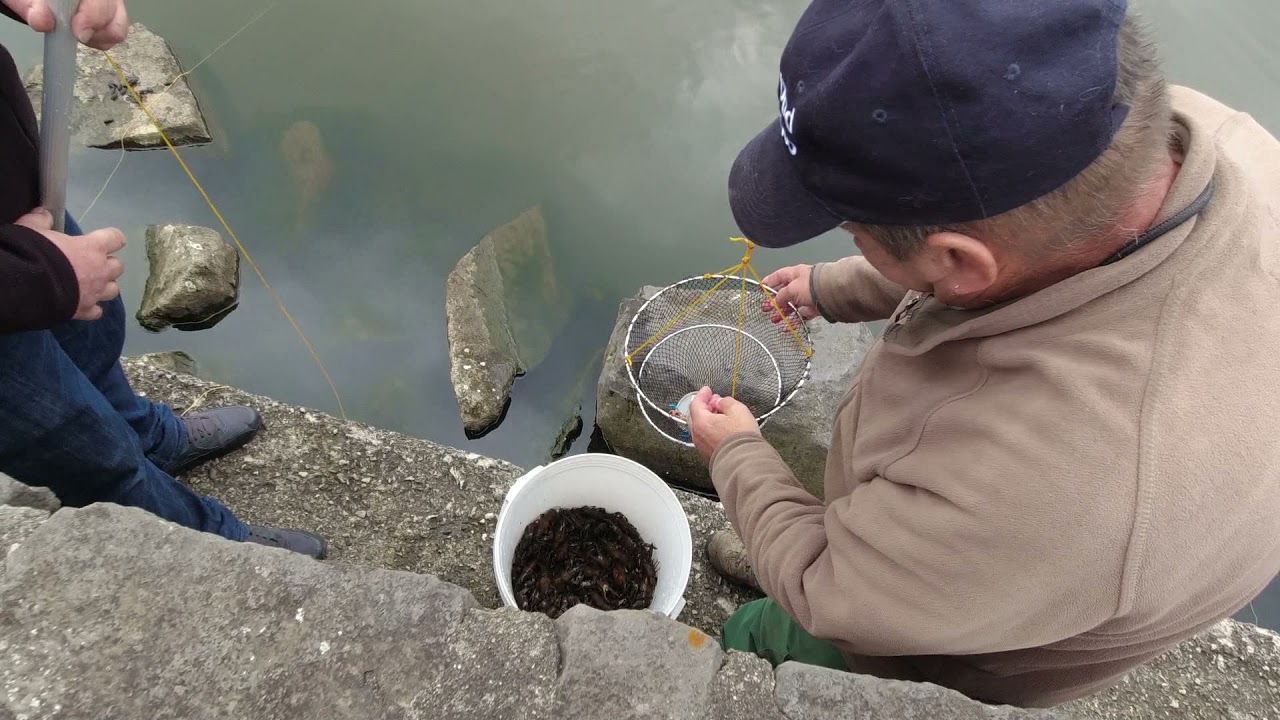Pêche à l'écrevisse