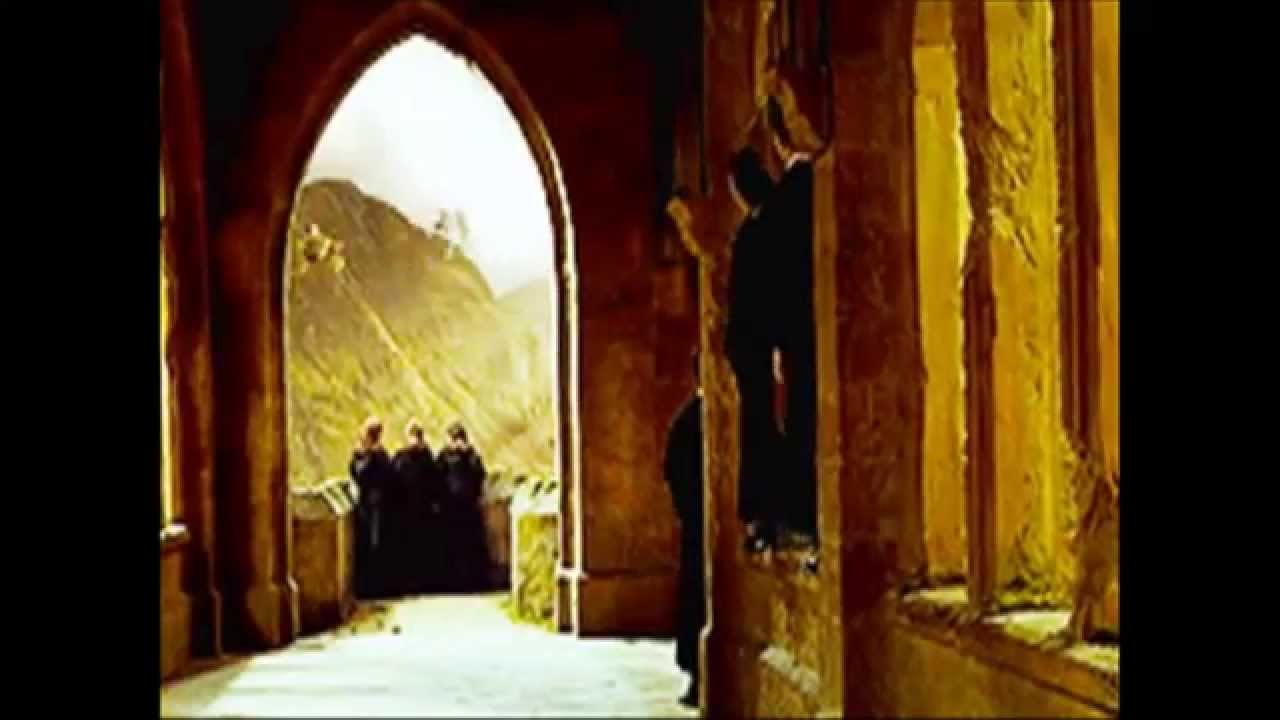 harry potter : next generation