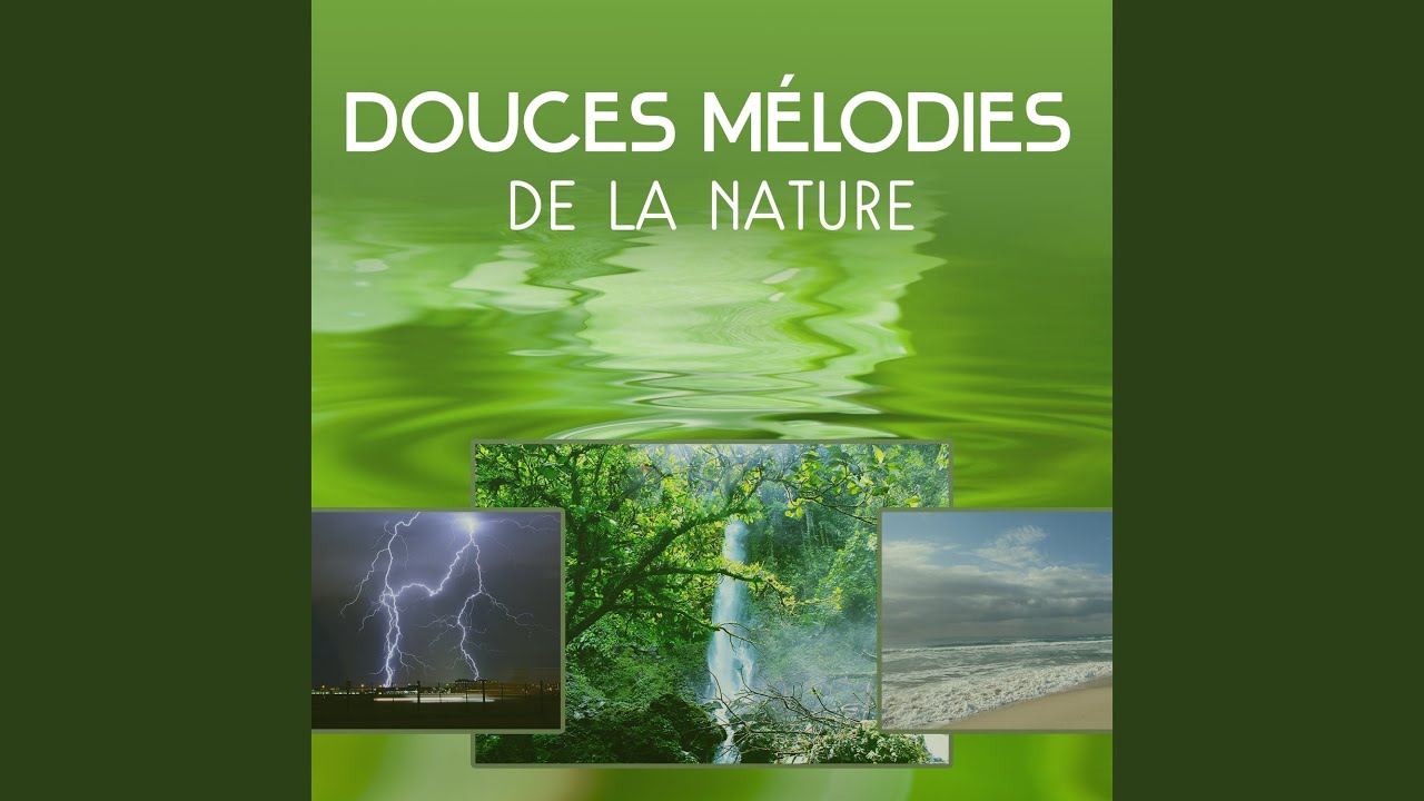 Transformation mentale
